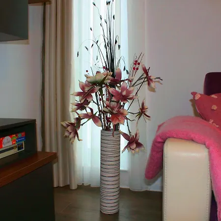 Apartment Uno Studio Coresi